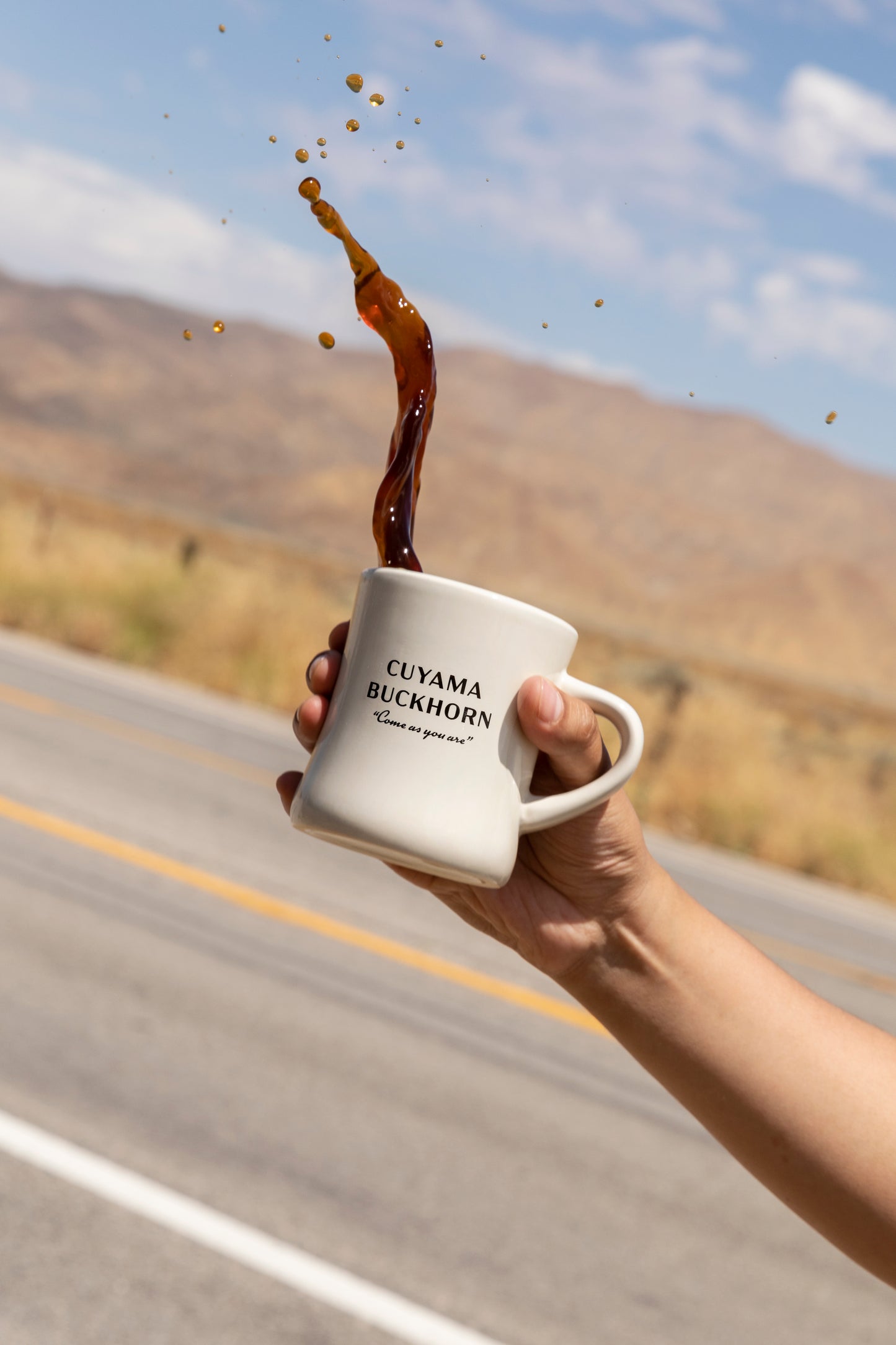 Diner Mug