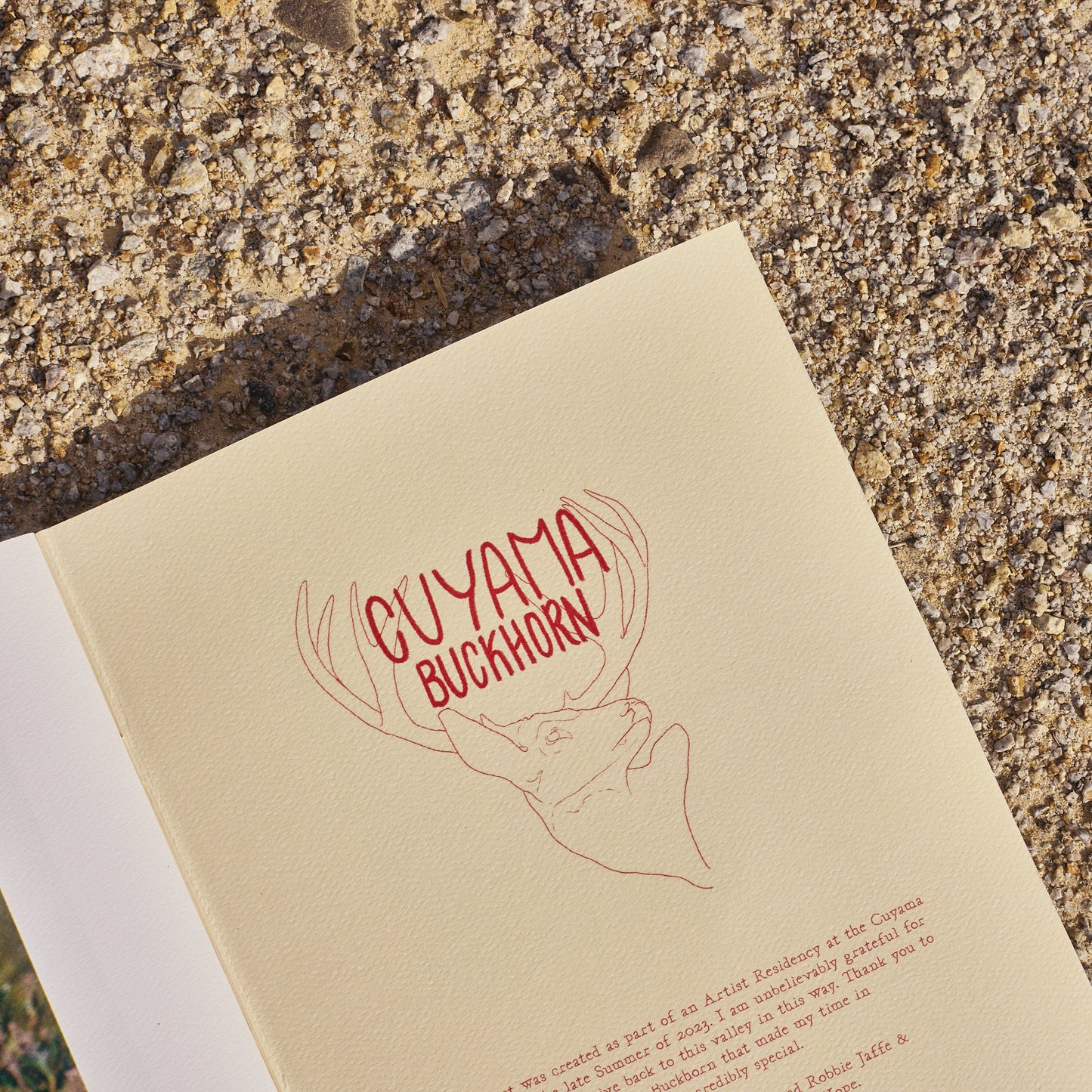 Cuyama: Harvest Zine