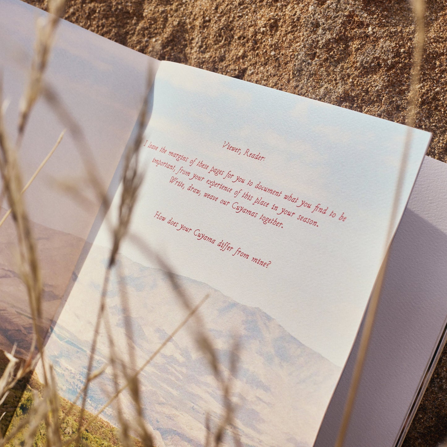Cuyama: Harvest Zine