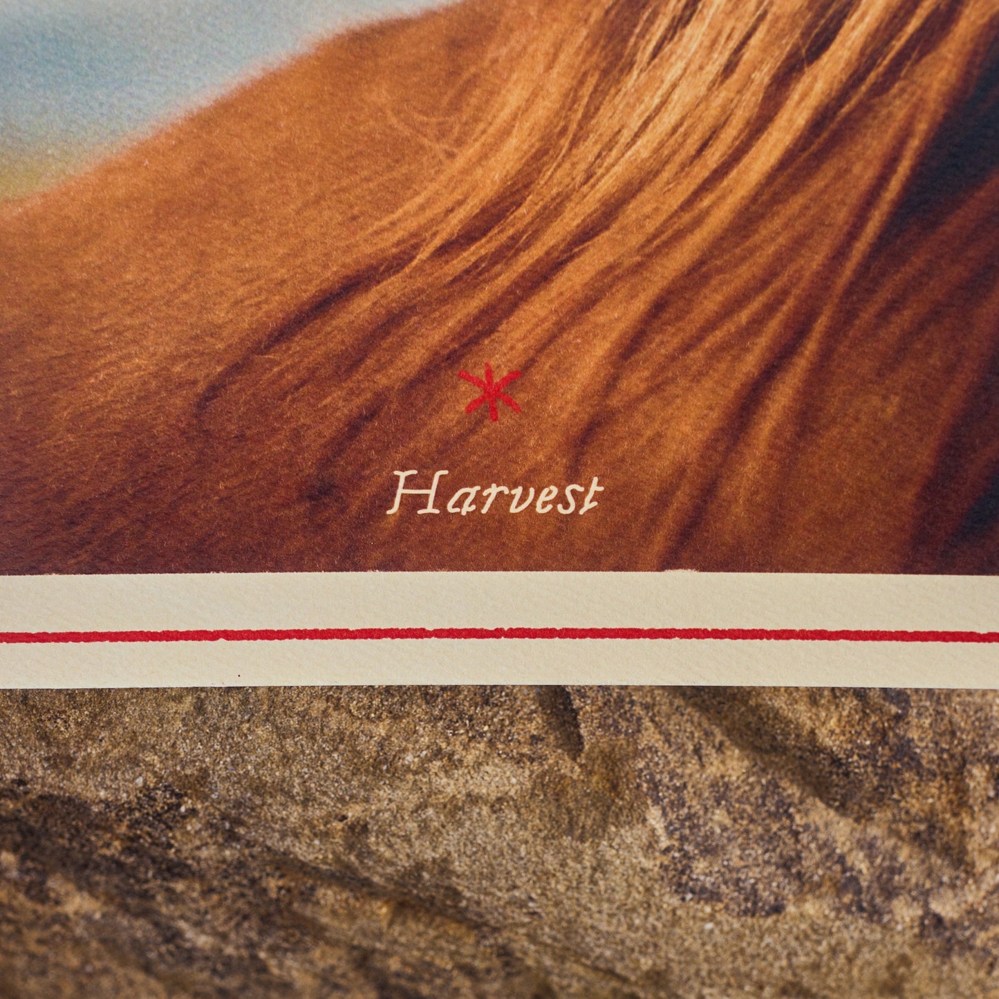 Cuyama: Harvest Zine