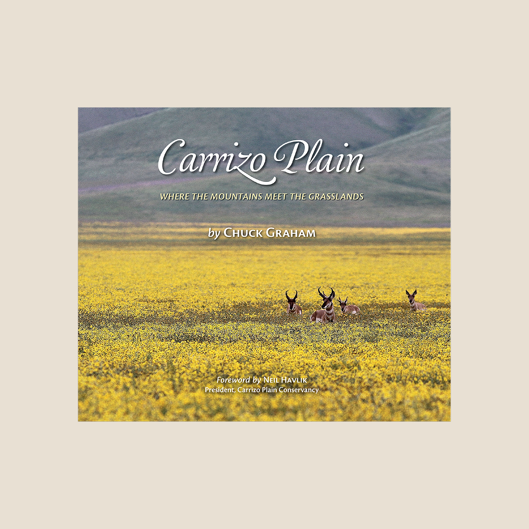 Carrizo Plain Book