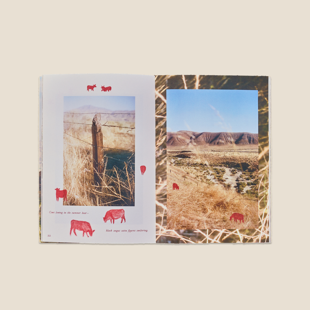 Cuyama: Harvest Zine
