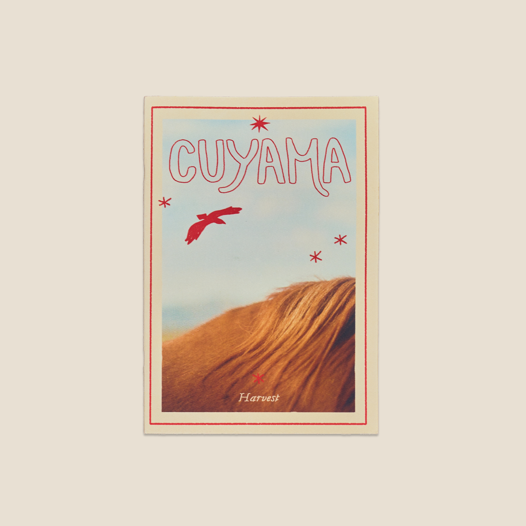 Cuyama: Harvest Zine