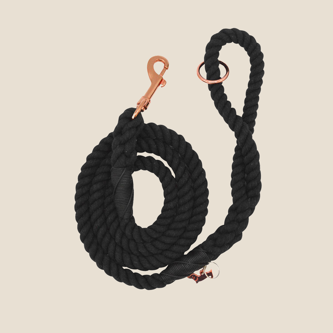 Dog Leash