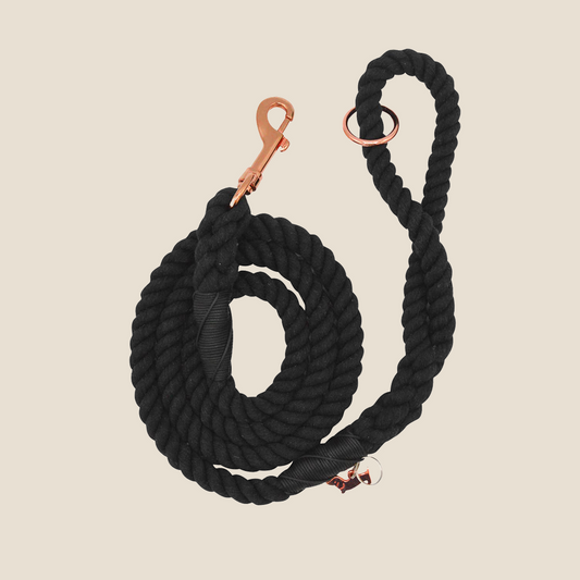 Dog Leash