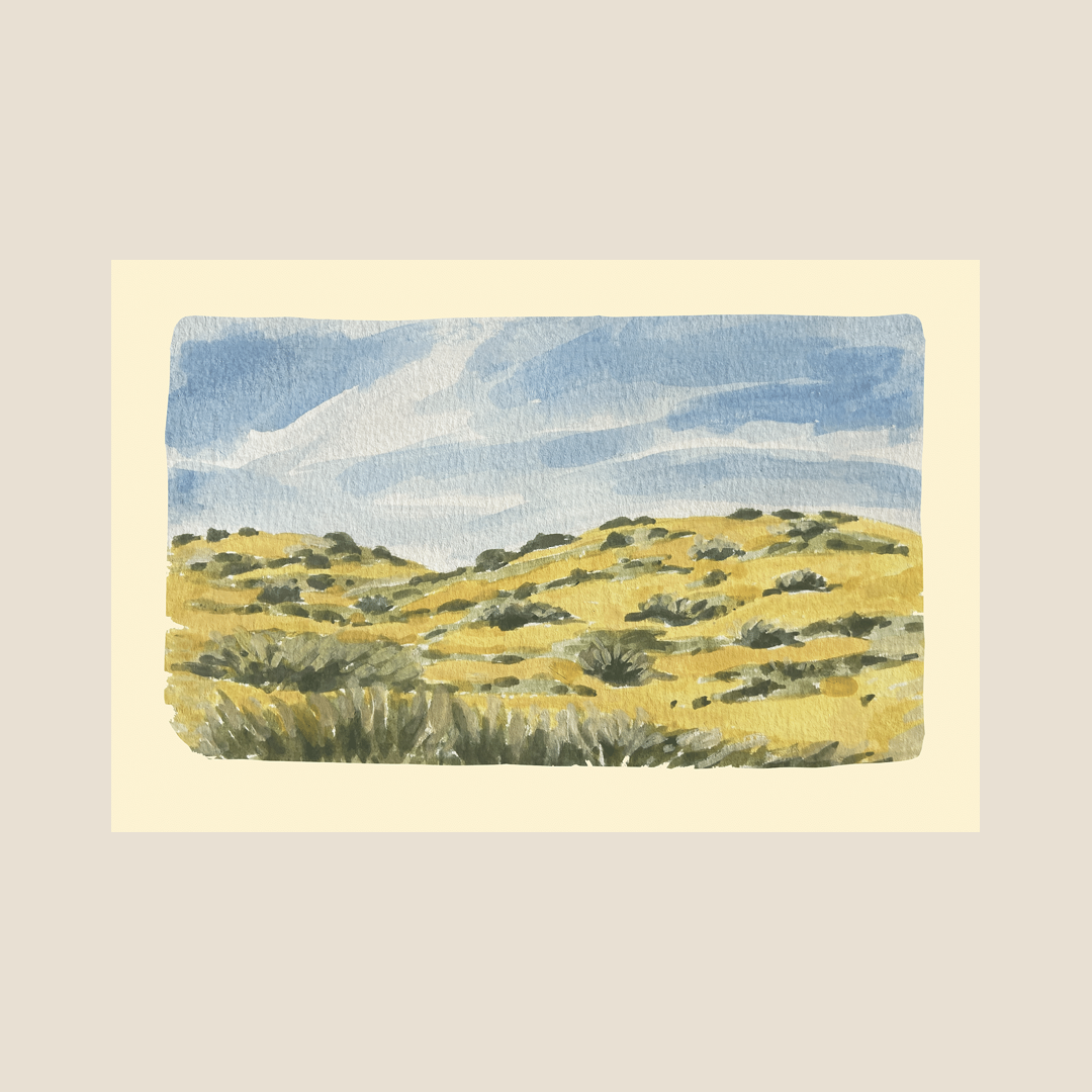 Little Salt Wagon Postcards