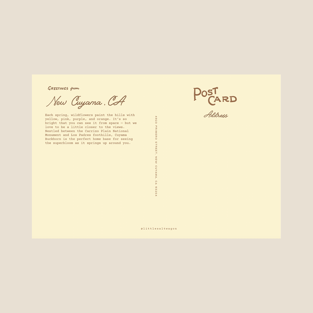 Little Salt Wagon Postcards