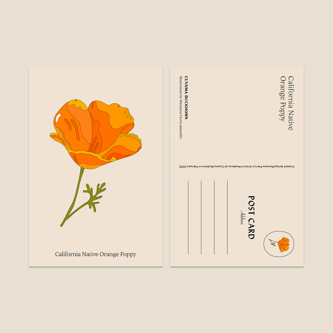 Marianna Fierro x Cuyama Buckhorn Postcards