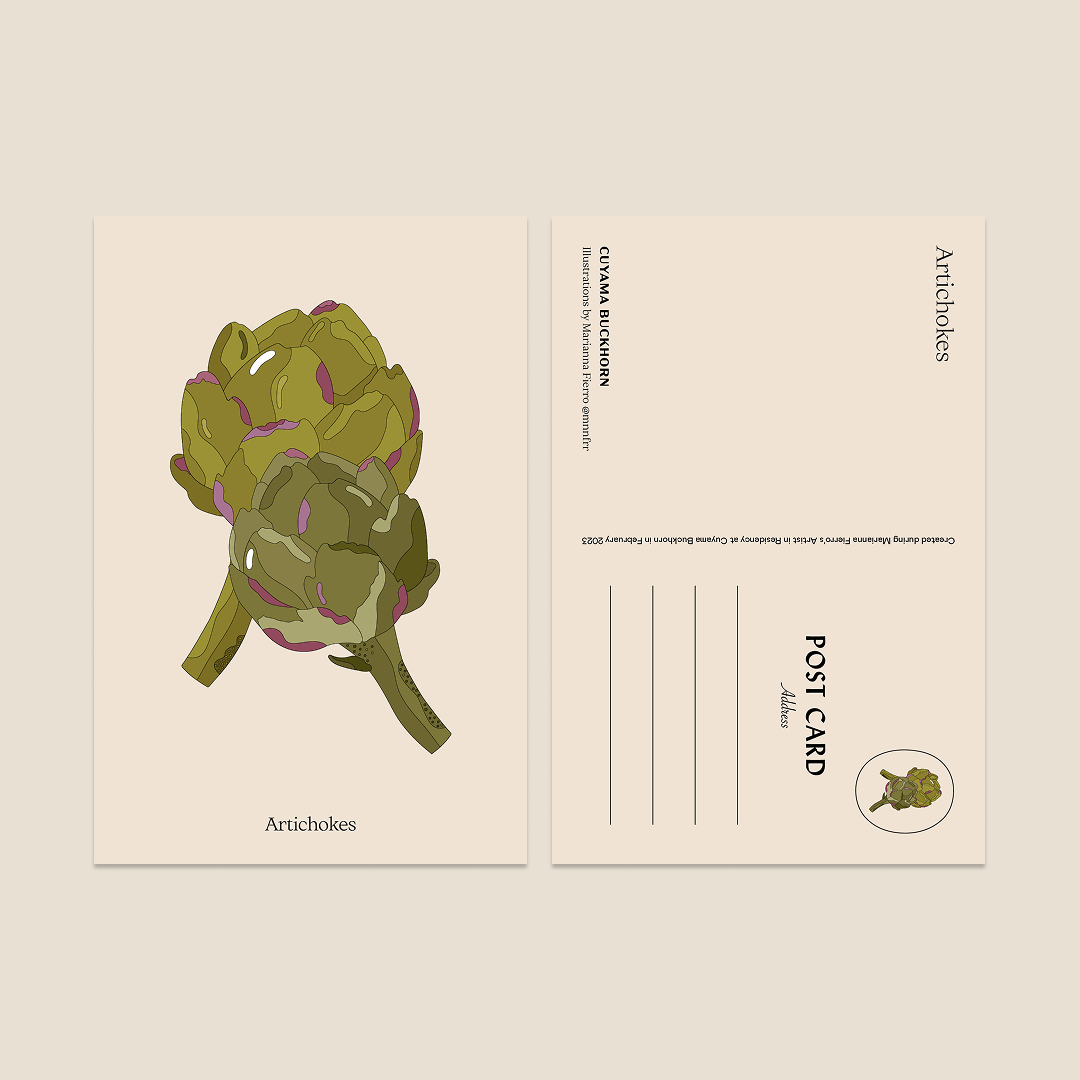 Marianna Fierro x Cuyama Buckhorn Postcards