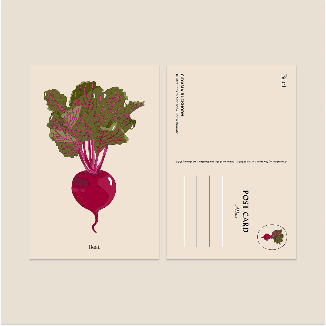 Marianna Fierro x Cuyama Buckhorn Postcards
