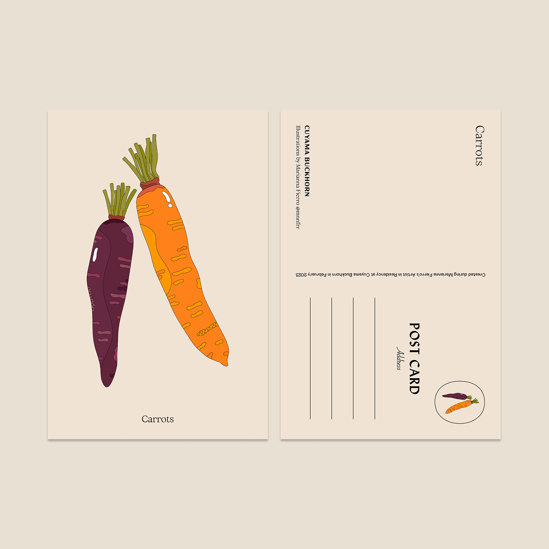 Marianna Fierro x Cuyama Buckhorn Postcards