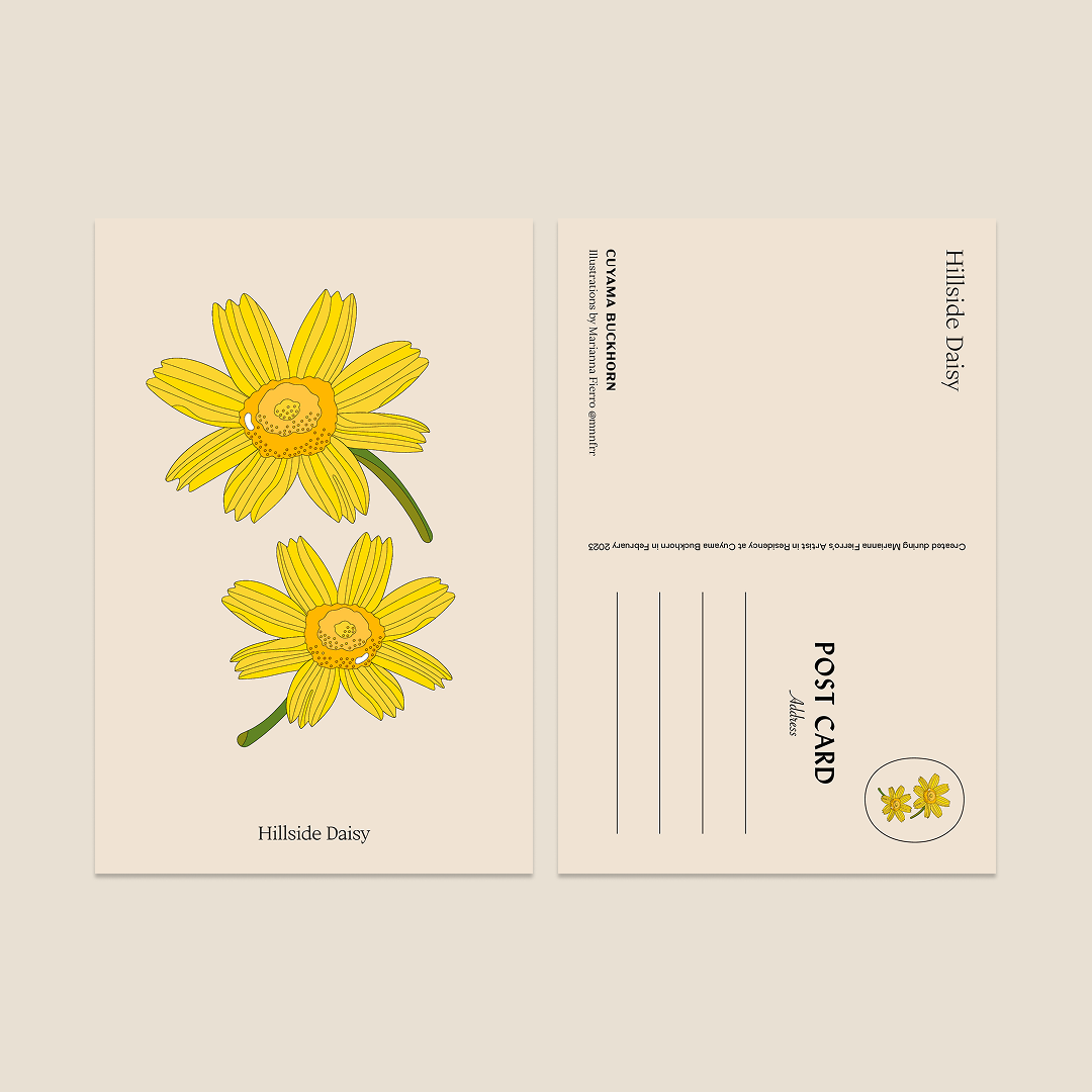 Marianna Fierro x Cuyama Buckhorn Postcards