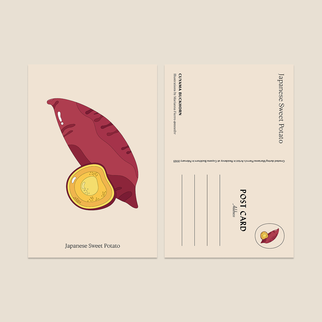 Marianna Fierro x Cuyama Buckhorn Postcards