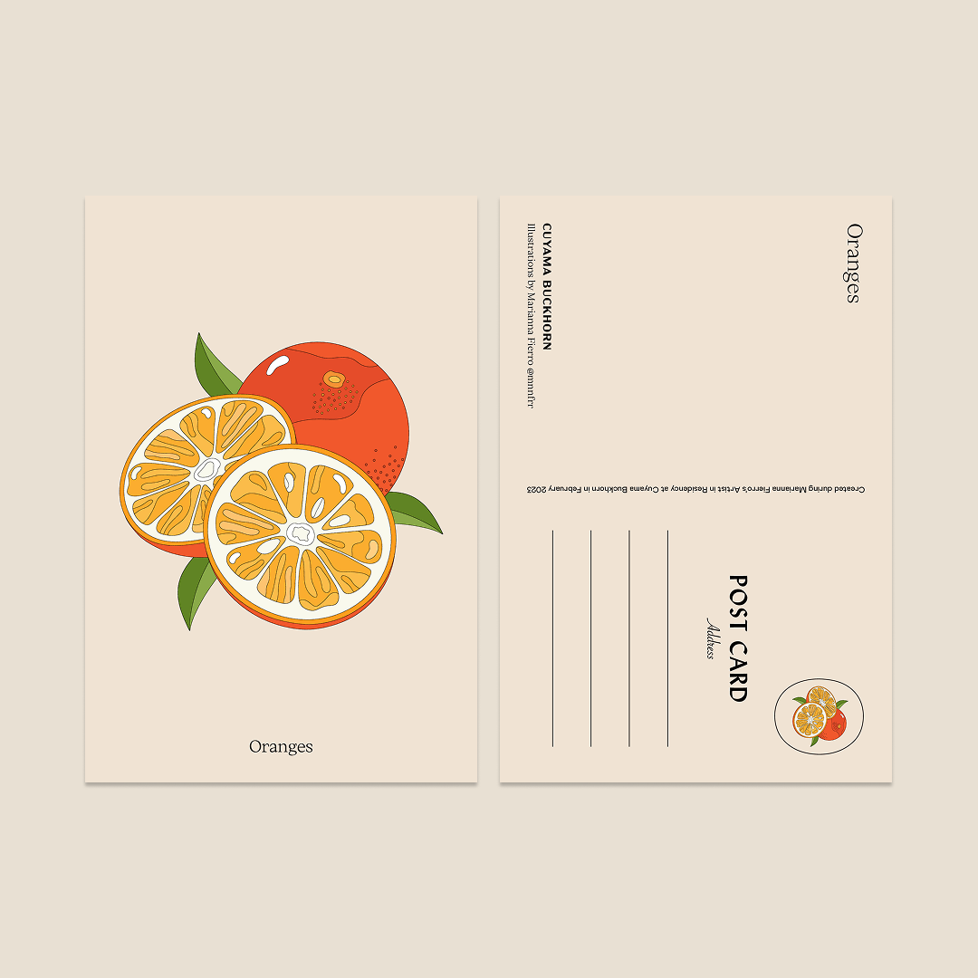 Marianna Fierro x Cuyama Buckhorn Postcards