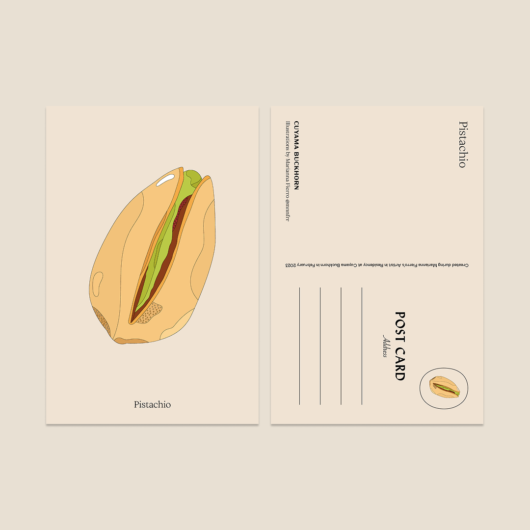 Marianna Fierro x Cuyama Buckhorn Postcards
