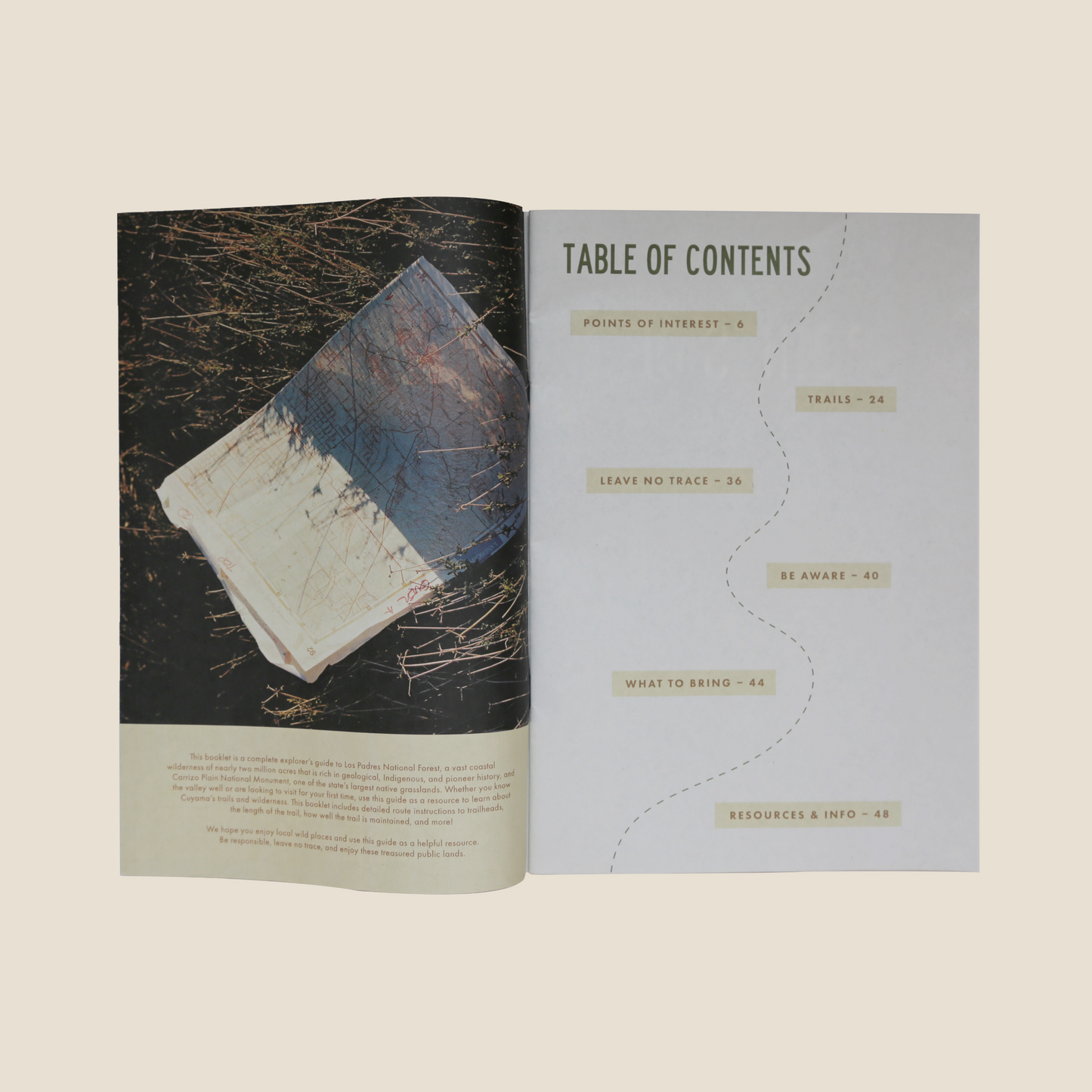 A Guide to the Outdoors in Cuyama Valley