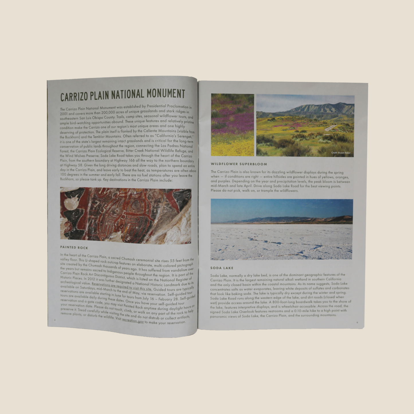 A Guide to the Outdoors in Cuyama Valley