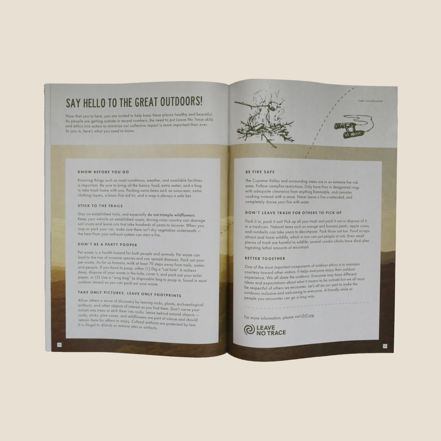 A Guide to the Outdoors in Cuyama Valley