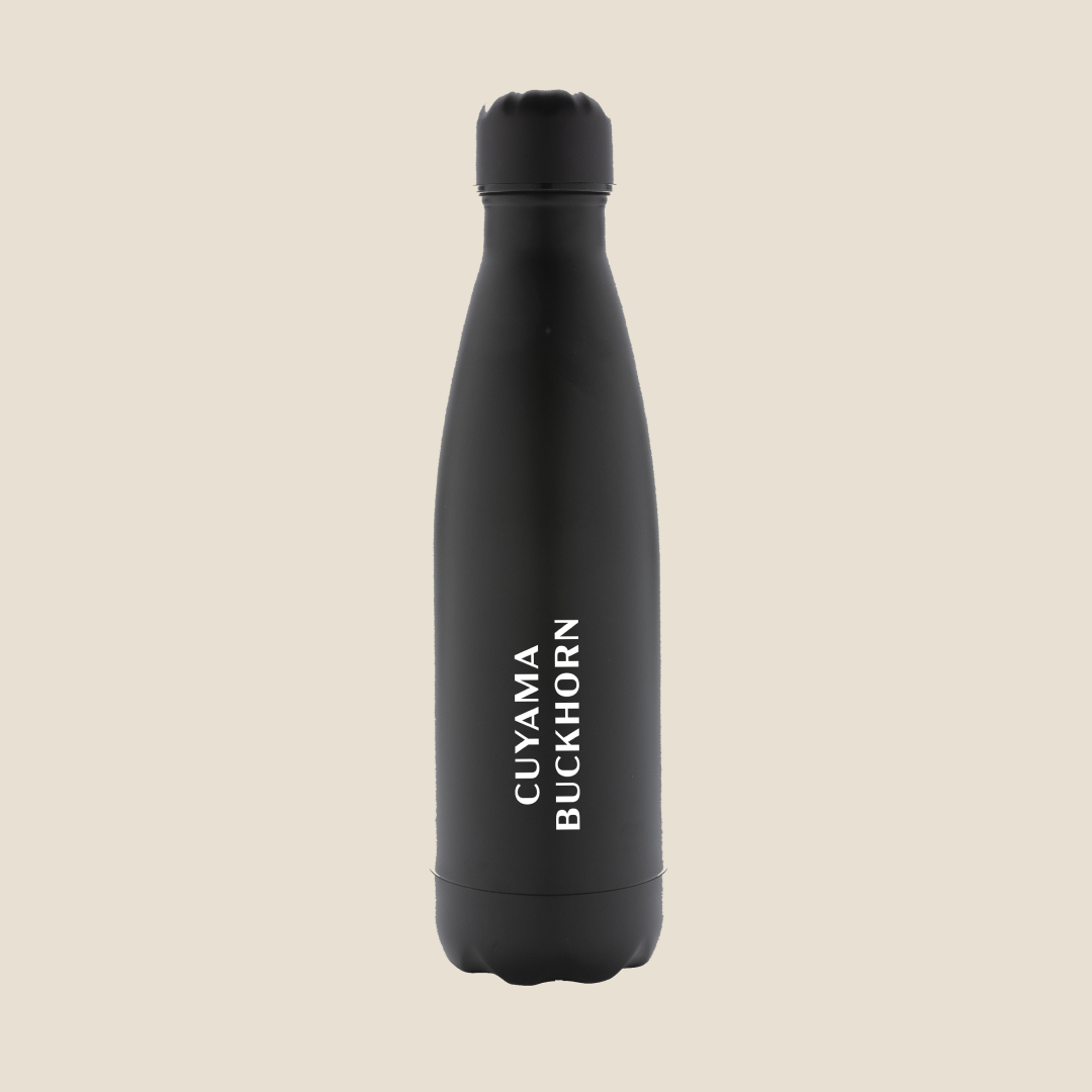 Stainless Steel Bottle