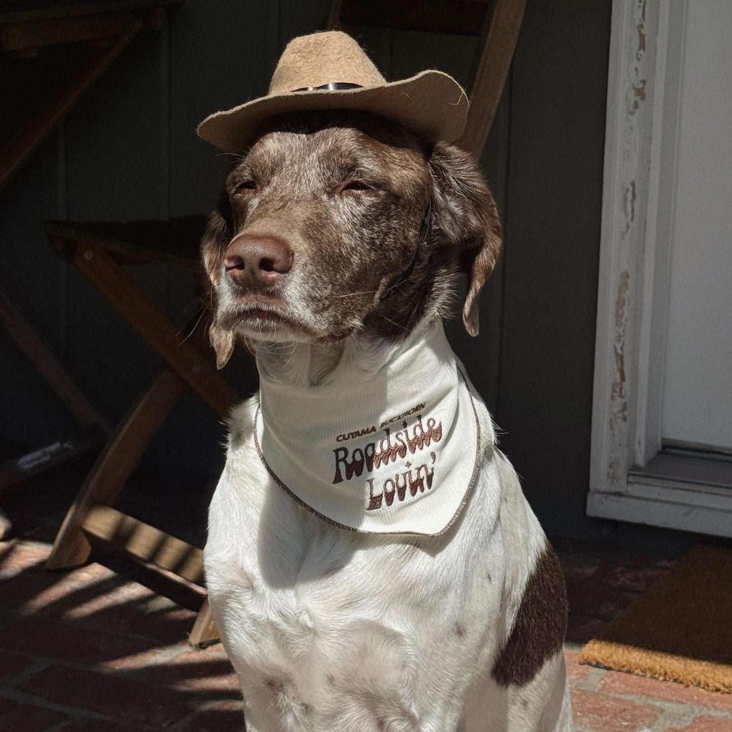 Fren x Cuyama Buckhorn Dog Bandana
