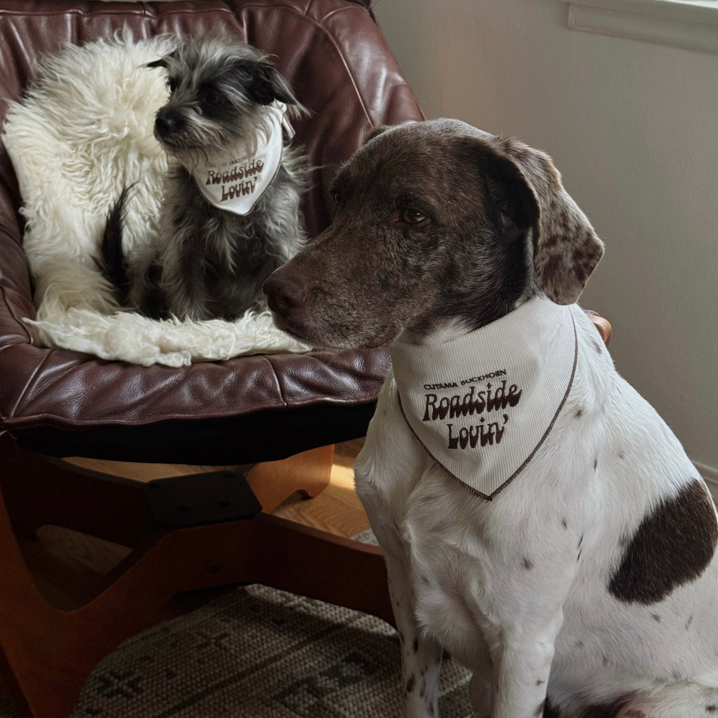 Fren x Cuyama Buckhorn Dog Bandana