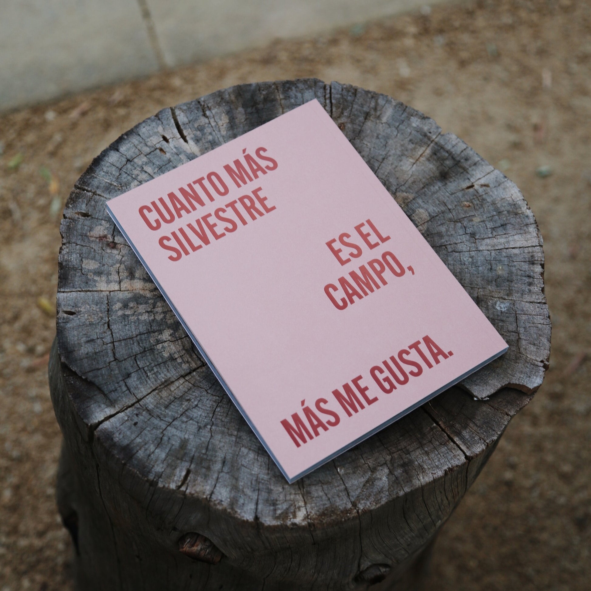 Rural Issue 2 - Spanish.