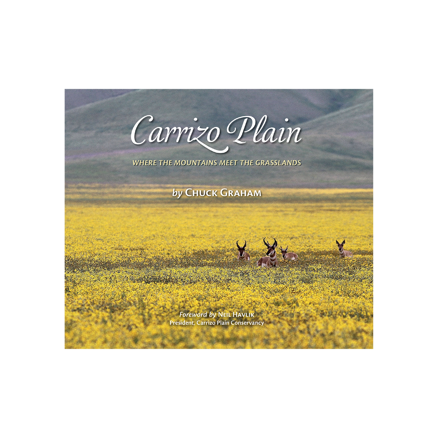 Carrizo Plain Book