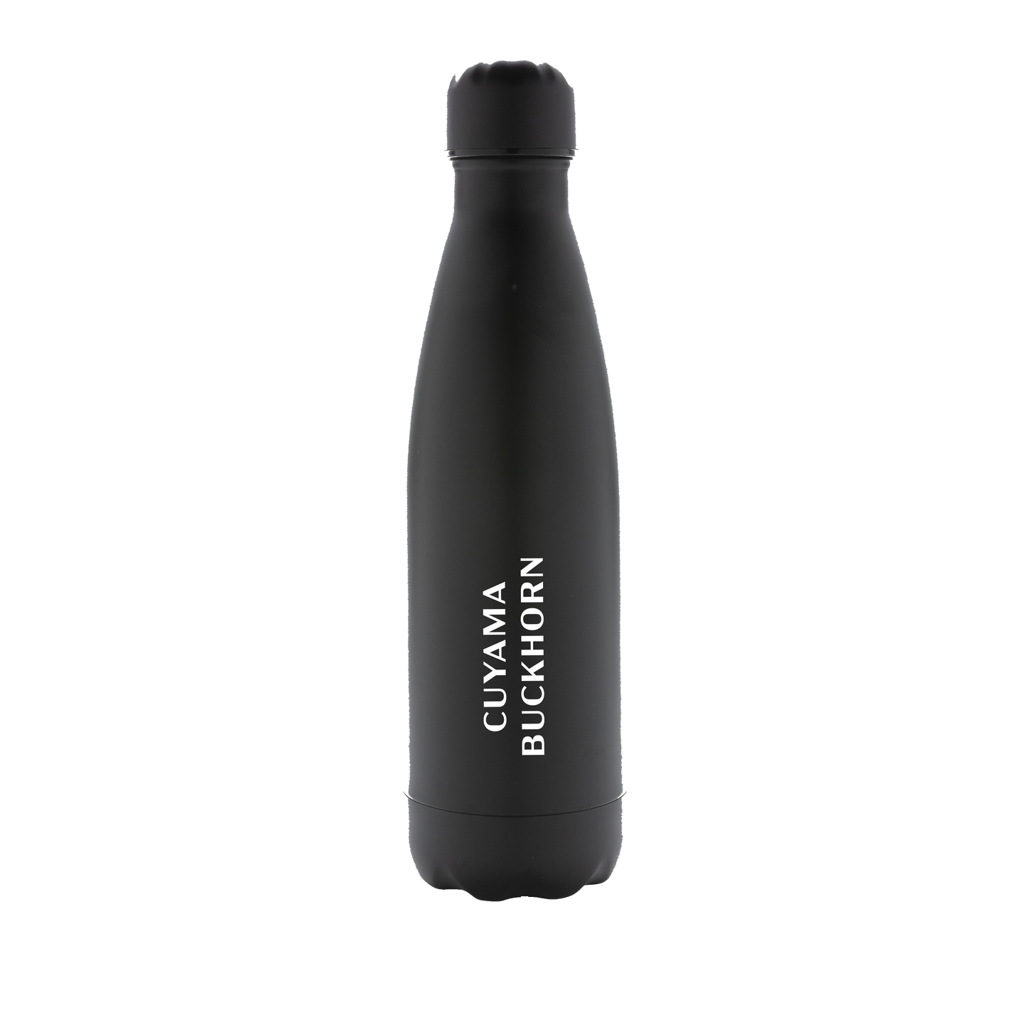 Stainless Steel Bottle