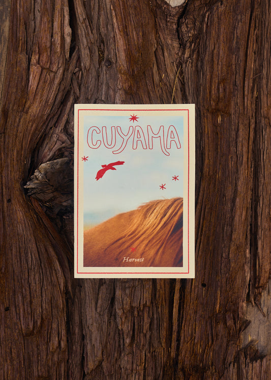 Cuyama: Harvest Zine