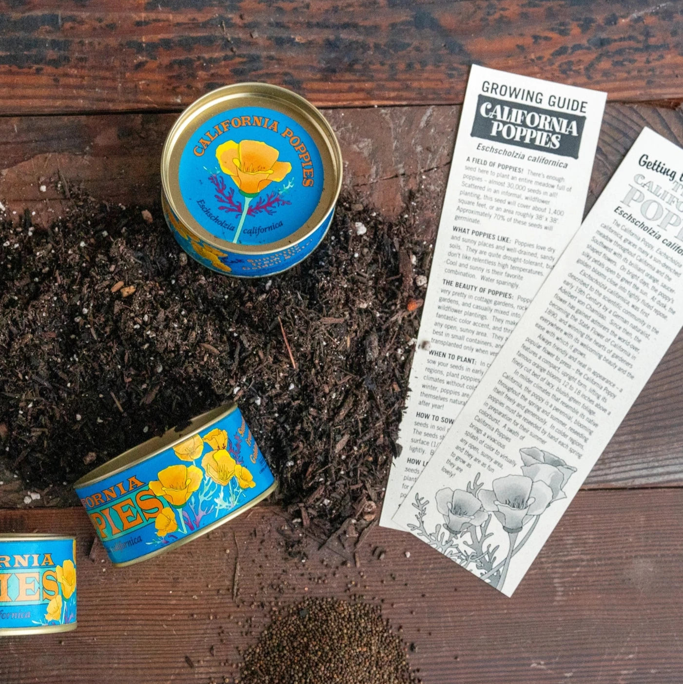 California Poppies Seed Grow Kit