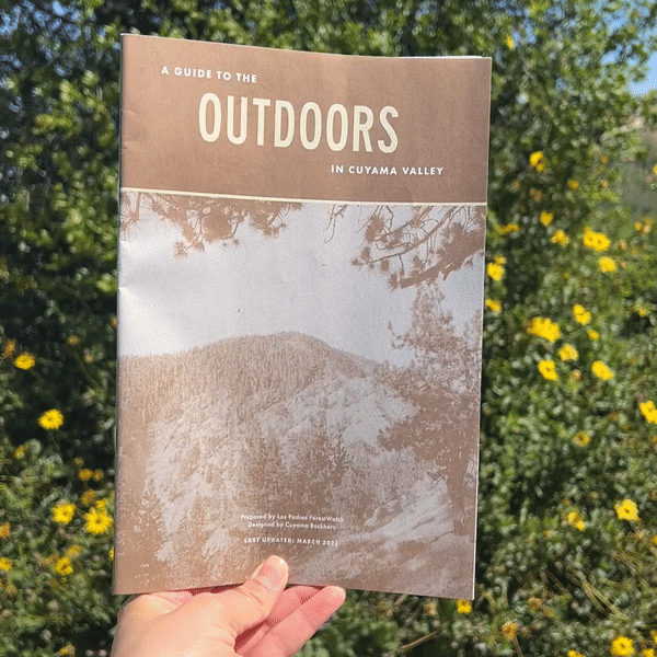 A Guide to the Outdoors in Cuyama Valley